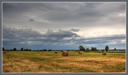 before the rain ... / ***