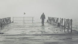 Foggy morning. / ***