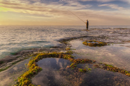 Fisherman and the Sea / ***