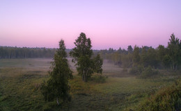 Dawn, Fog / ***