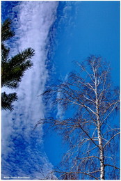 The March sky / ***