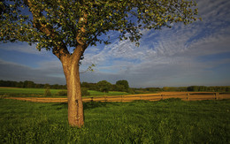 LANDSCHFTSIDYLLE / Ich war wieder einmal unterwegs an der Rauschenburg in Olfen im Münsterland. Die MORGENSTIMMUNG und die STILLE der Landschaft, eine &quot;IDYLLE&quot;.