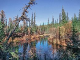 late autumn ... / ***