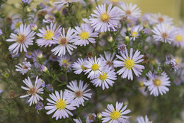 Happy Holidays! / ...