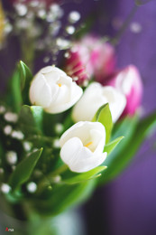 Tenderness / ...