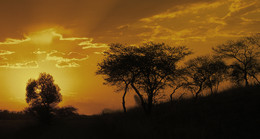 SÜDAFRIKA / Abendstimmung in der HANNA LODGE in Südafrika.