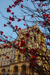 Spring is Here ... / ***