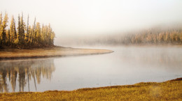 Foggy morning ... / ***