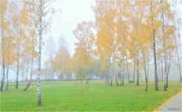 autumn mist / ***