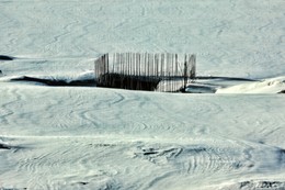 Snow and wind / ***