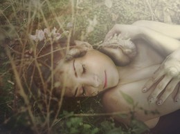 pacification / ***