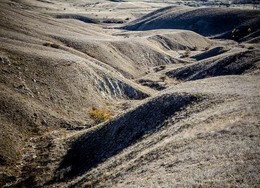 Hills / ***