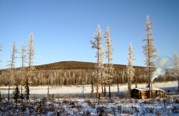 Cabin ... / ***