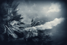 Storm / ***