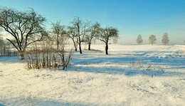 Under a blanket of snow / ***