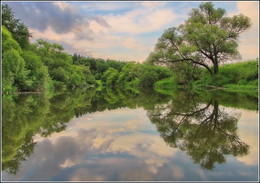 riverbank Nara / ***