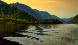 On the lake Teletskoye ... / ***