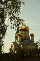 golden domes / ***