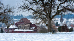 Sonntag früh / Hagenwil, Kanton Thurgau, Schweiz