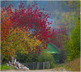 Autumn in the village / ***