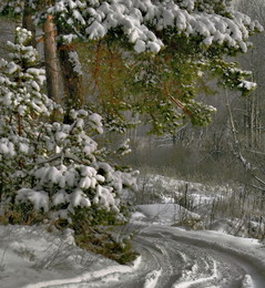Winter Roads / ***