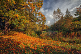 Autumn Park. / ***