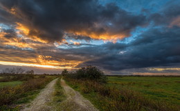 crazy colors in autumn / ***