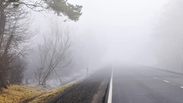 Morning mist ... / ----