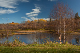 Autumn landscape / ***