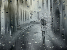 Rain in the city. / ***