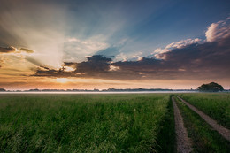 Field road / ***