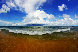 Before the storm / ***