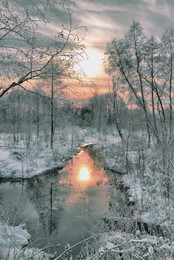 Frosty evening / ***
