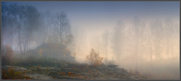 Autumn mists / ---