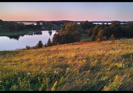 Summer evening / ***