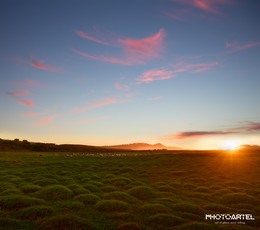 Pastoral / ***