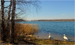 spring / ***
