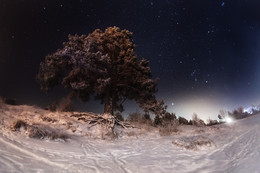 Penovsky night / ***