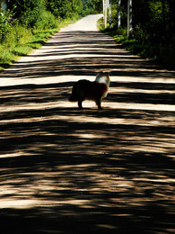 The roads we take / ***