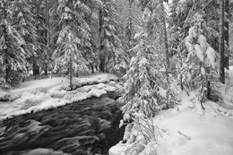 Return of winter / ***