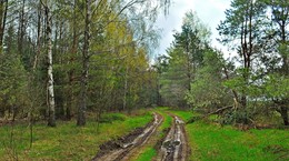 After the rain / ***