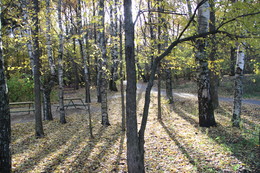 Toward the light / ***