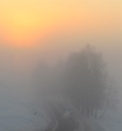 Toward the light / ***