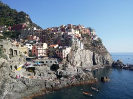 Toward the light / ...