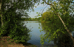 By the lake / ***