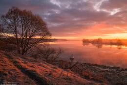 Foggy morning / ***