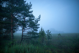 Pre-dawn mist / ***