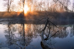 Foggy morning. / ***