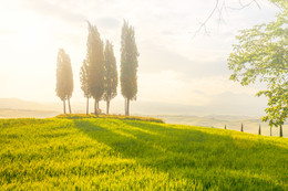  / tuscany