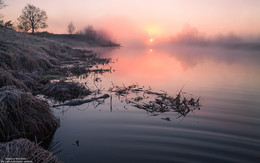 Dawn / ***